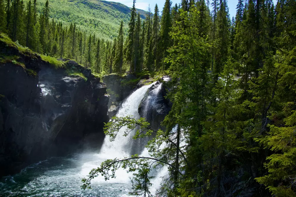 Nowoczesne miejsca na konferencje w pobliżu Babiog&oacute;rskiego Parku Narodowego&nbsp;